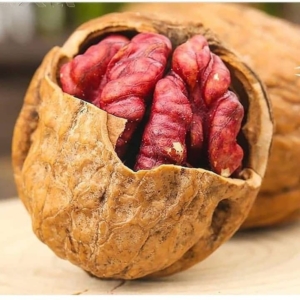 فروش انواع گردو